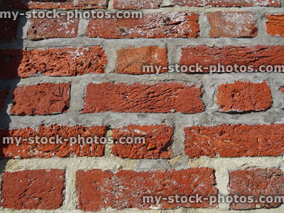 Stock image of red brick wall with grey cement mortar pointing