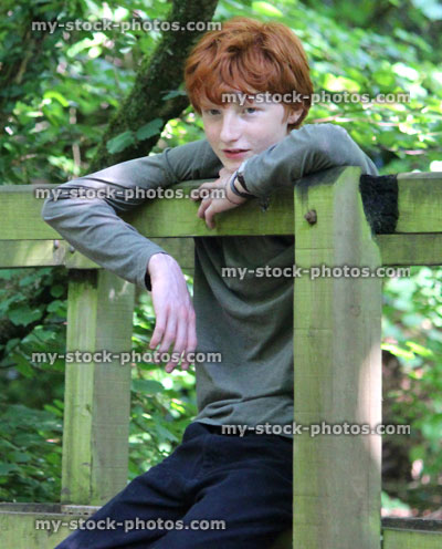 Stock image of teenage boy sitting on wooden bridge railings over woodland stream