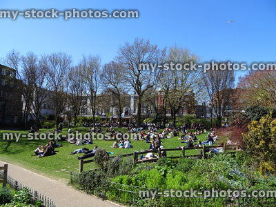 Stock image of park in central Brighton, close to pavilion gardens