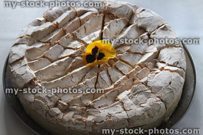 Stock image of homemade blueberry cooked cheesecake, meringue topping, edible pansy flower