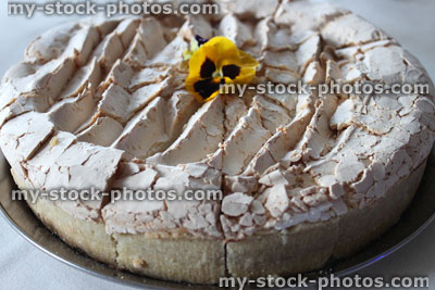 Stock image of homemade blueberry cooked cheesecake, meringue topping, edible pansy flower