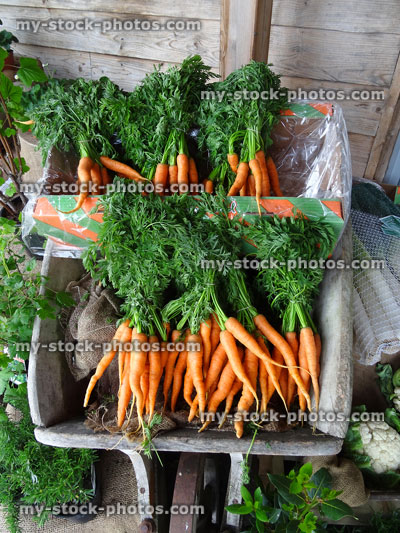 Stock image of bunches of carrots displayed in greengrocer's wooden wheelbarrow