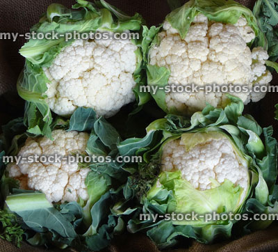 Stock image of four freshly grown cauliflowers, fruit and veg greengrocer's
