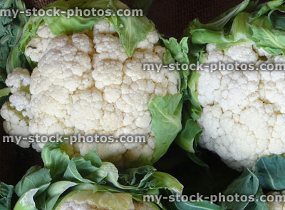 Stock image of freshly harvested cauliflowers being sold at greengrocers / farmer's market