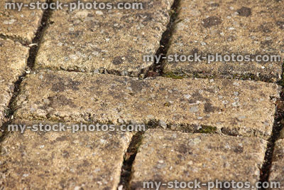 Stock image of faux moulded block paving bricks on concrete patio