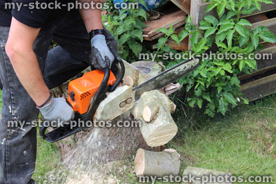 Stock image of man using chainsaw to cut wooden logs / firewood