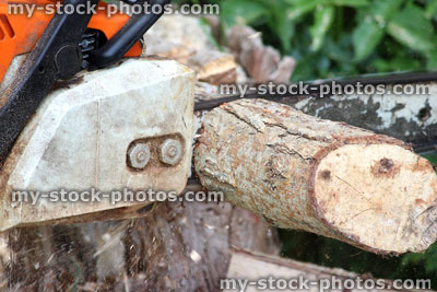 Stock image of man using chainsaw to cut wooden logs / timber