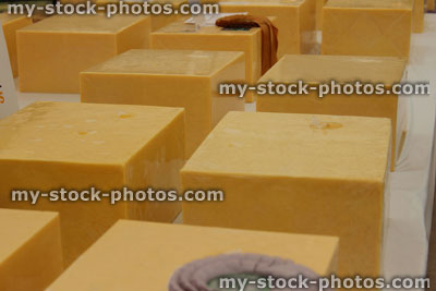 Stock image of large blocks of Cheddar cheese, displayed, agricultural show / exhibition