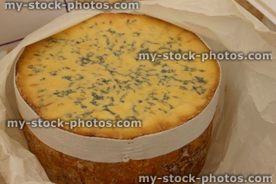 Stock image of large English Stilton cheese, round cheese, blue veins