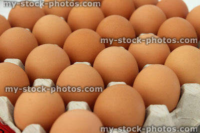 Stock image of brown free range chicken eggs in cardboard tray, rows