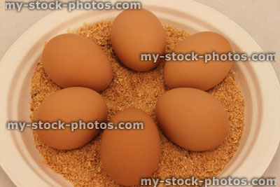 Stock image of set of identical brown chicken eggs exhibited on sawdust / plate