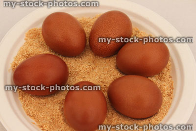 Stock image of set of identical brown speckled chicken eggs exhibited, sawdust / plate
