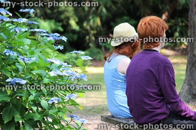 Stock image of boy and girl sitting on bench (brother sisiter), woodland garden, hydrangeas