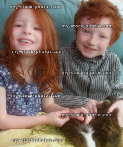 Stock image of children holding / stroking pet guinea pigs on laps
