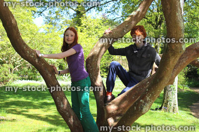 Stock image of boy and girl climbing tree trunks and playing on branches