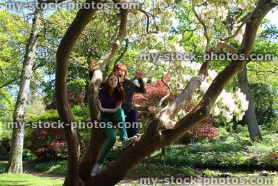 Stock image of boy and girl climbing on tree, rhododendron branches