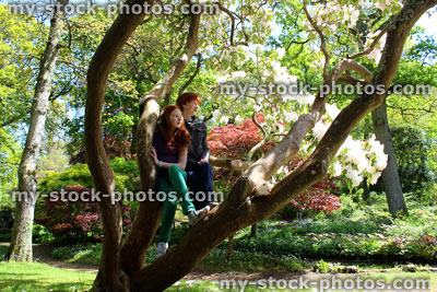 Stock image of boy and girl climbing on branches of tree