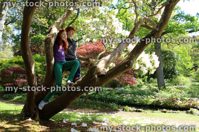 Stock image of children climbing tree branches (brother, sister) rhododendron trunks