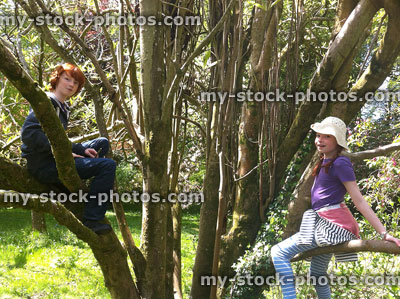Stock image of redheaded boy and girl climbing a tree 