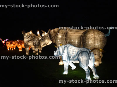 Stock image of Chinese Lantern Festival lights, illuminated Rhinoceros, nightime isolated