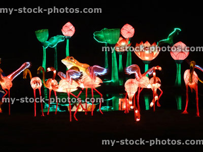 Stock image of Chinese Lantern Festival lights, illuminated Flamingoes, nightime isolated