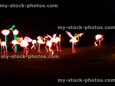Stock image of Chinese Lantern Festival lights, illuminated Flamingoes, nightime isolated