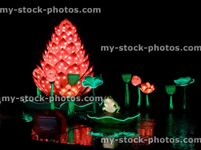 Stock image of Chinese Lantern Festival lights, illuminated Lotus flower, lake reflection