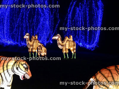 Stock image of Chinese Lantern Festival lights, illuminated tigers / camels / animals, bright colours