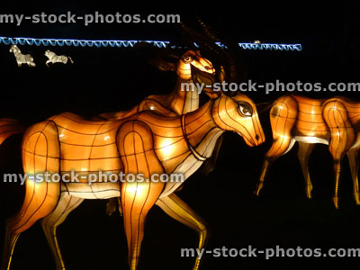 Stock image of Chinese Lantern Festival lights, illuminated deer / antelope / bright colours