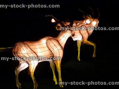 Stock image of Chinese Lantern Festival lights, illuminated deer / antelope / bright colours