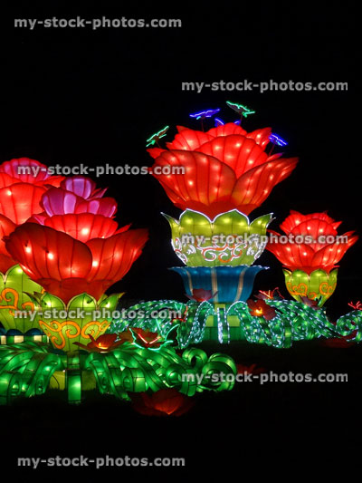 Stock image of Chinese Lantern Festival lights, red Lotus flowers, water lily / water lilies