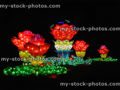 Stock image of Chinese Lantern Festival lights, red Lotus flowers, water lily / water lilies