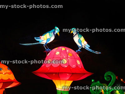 Stock image of Chinese Lantern Festival lights, exotic rainbow birds, mushroom / toadstool