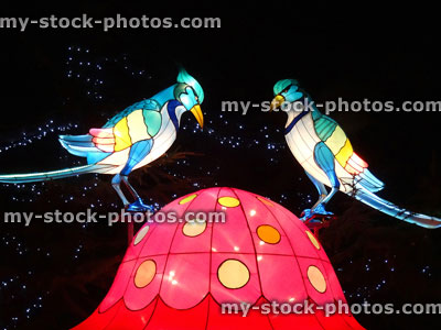 Stock image of Chinese Lantern Festival lights, exotic birds, mushroom