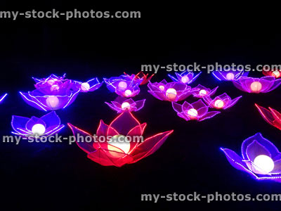 Stock image of Chinese Lantern Festival lights, illuminated purple lotus flower blooms