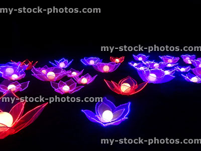 Stock image of Chinese Lantern Festival lights, illuminated purple lotus flower blooms