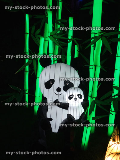 Stock image of Chinese Lantern Festival lights, illuminated pandas and bamboo 