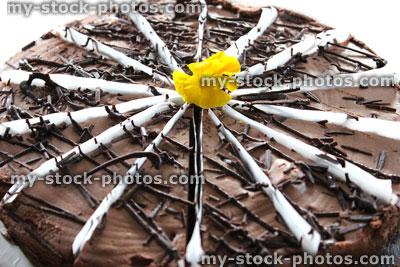 Stock image of round chocolate cake cut into separate slices, chocolate icing
