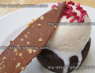 Stock image of chocolate fondant cake, vanilla ice cream, praline hazelnut tuile, dried raspberry pieces
