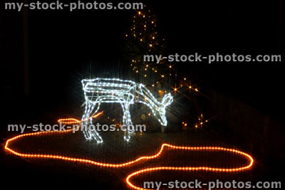 Stock image of illuminated deer, Christmas lights at night, night time illuminations