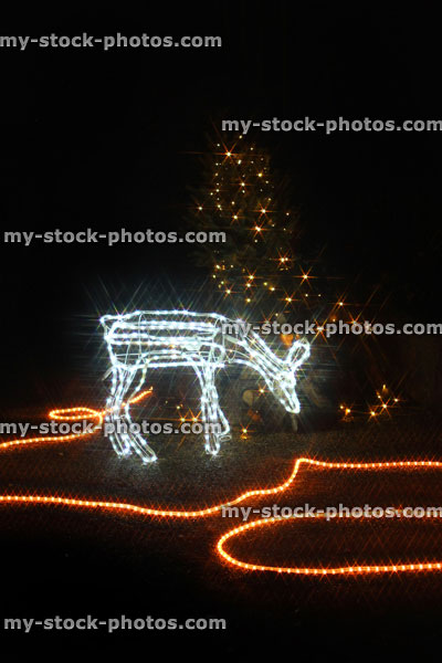 Stock image of illuminated deer, Christmas lights at night, night time illuminations