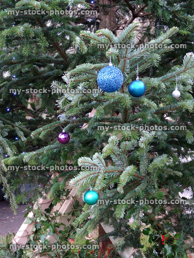 Stock image of real spruce / fir Christmas tree branches, baubles / decorations