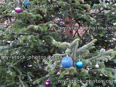 Stock image of branches of real Christmas tree with baubles / decorations