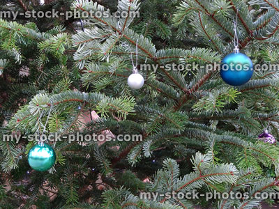 Stock image of real Norway spruce Christmas tree needles, baubles / decorations