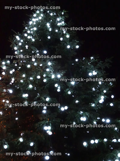 Stock image of white lightbulbs / fairylights on large outdoor Christmas tree