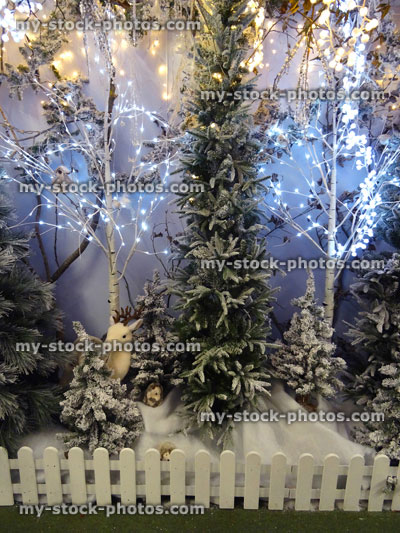 Stock image of winter forest woodland display, Christmas trees, snow, fairy lights, toy deer