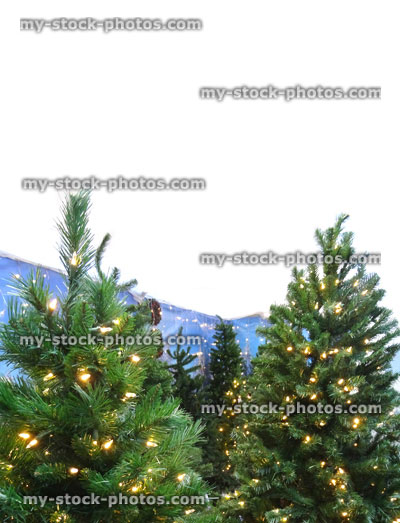 Stock image of artificial Christmas trees / decorations, green foliage needles, white LED fairy lights, banner