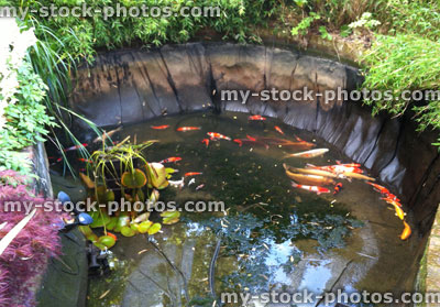 Stock image of large koi pond being drained and cleaned