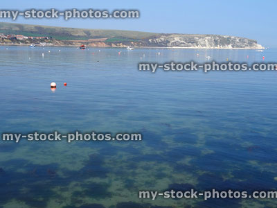 Stock image of clear sea water at seaside harbour, chalky cliffs