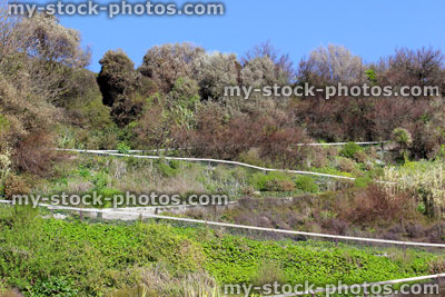 Stock image of zig zag path up the side of steep cliff at Bournemouth